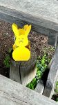 IMG-20250411-WA0003